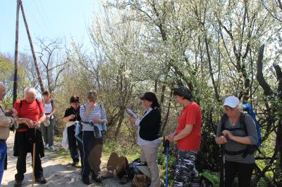 Magyar Camino Út.2014.04.19. Esztergom